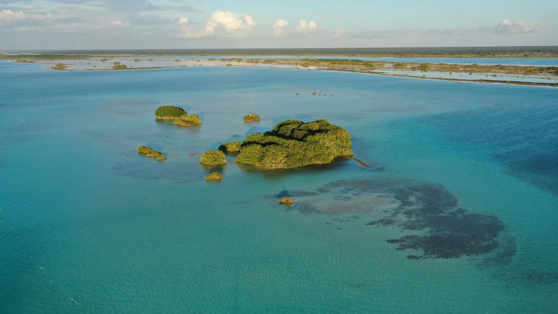 miercoles bacalar